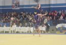 ACROBÁTICA