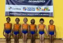 CENTRO DE EXCELÊNCIA GA